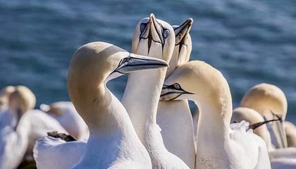 【爆料】pixiv深度揭秘：秘闻风波背后，神秘人在机场贵宾室的角色彻底令人意外