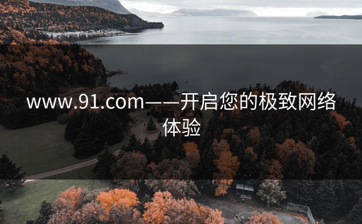 www.91.com——开启您的极致网络体验