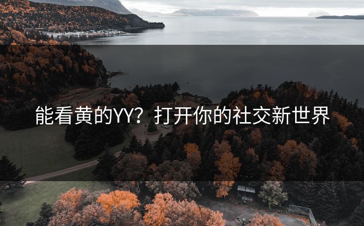 能看黄的YY?打开你的社交新世界