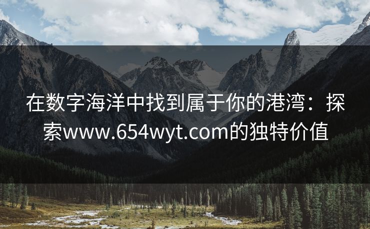 在数字海洋中找到属于你的港湾：探索www.654wyt.com的独特价值